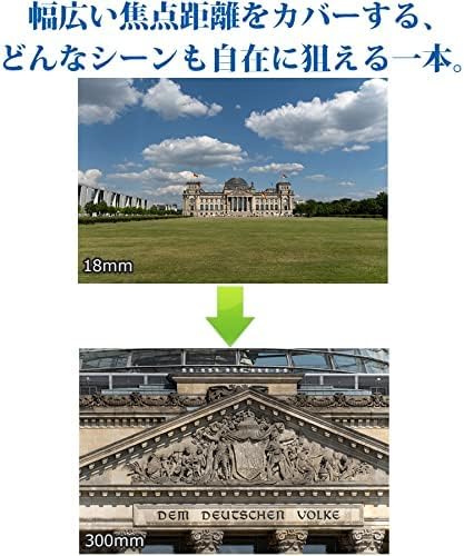 18-300mm F/3.5-6.3 Di III-A VC VXD 3