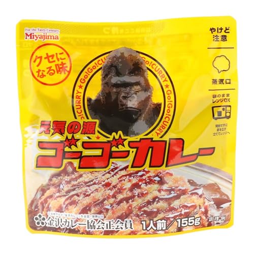 ゴーゴーカレー 元気の源 1