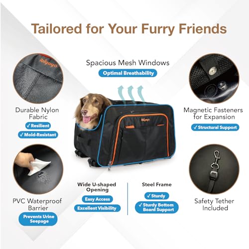 JetPaw 3-in-One  5