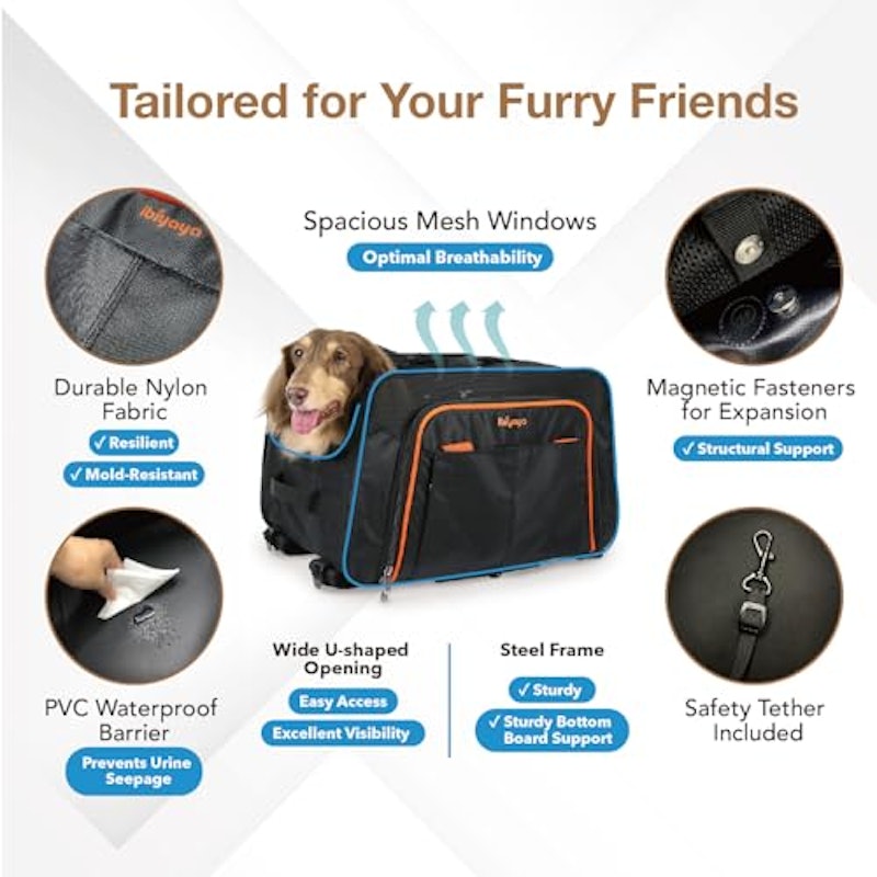 JetPaw 3-in-One 5