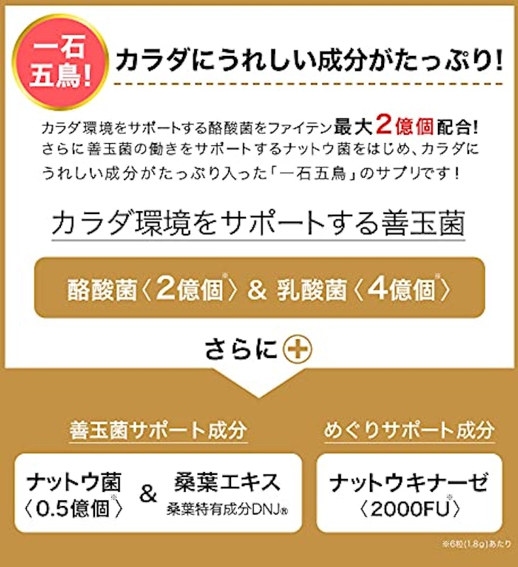 酪酸菌EX&ナットウキナーゼ 4
