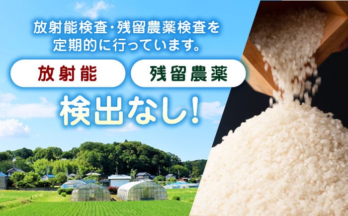 森のくまさん 無洗米 定期便 5