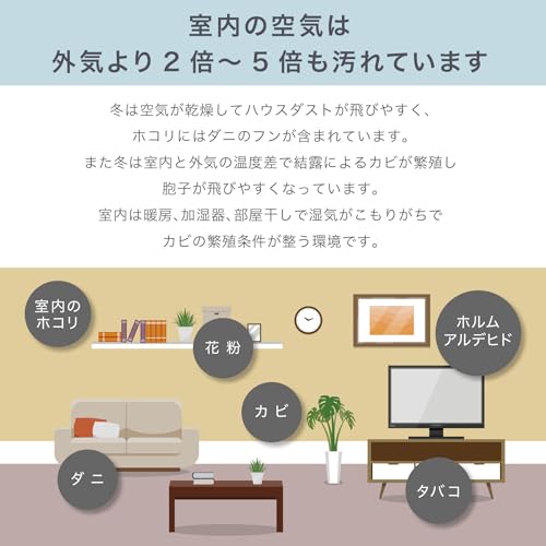 イオニックリトル 空気清浄機 little 4