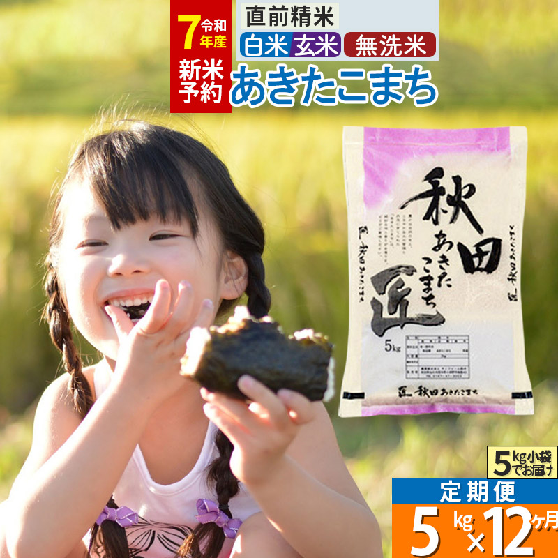 あきたこまち5kg 令和7年産 新米 定期便12回 1