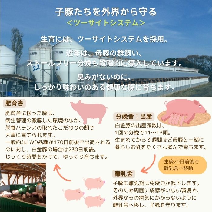 白金豚 バラ しゃぶしゃぶ用 スライス 4
