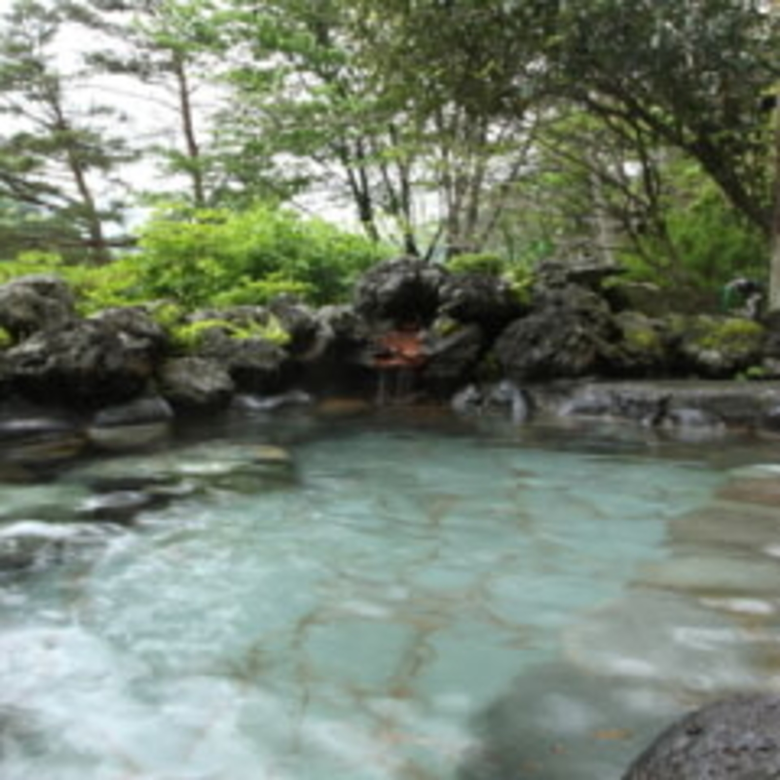 旅館 三国園 5