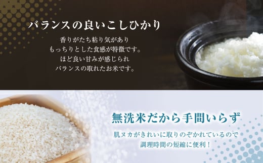 房の黄金米 コシヒカリ 定期便 2