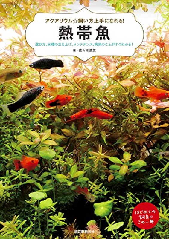 熱帯魚 1