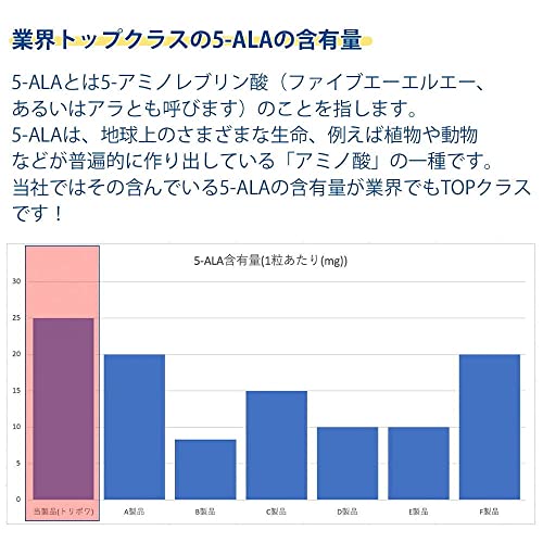 トリポワブロック 3