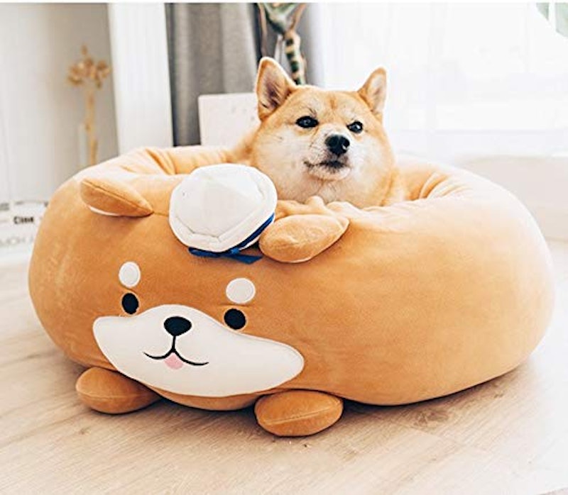 21年 犬用ベッドのおすすめ人気ランキング8選 Mybest 21年 犬用ベッドのおすすめ人気ランキング8選 Mybest