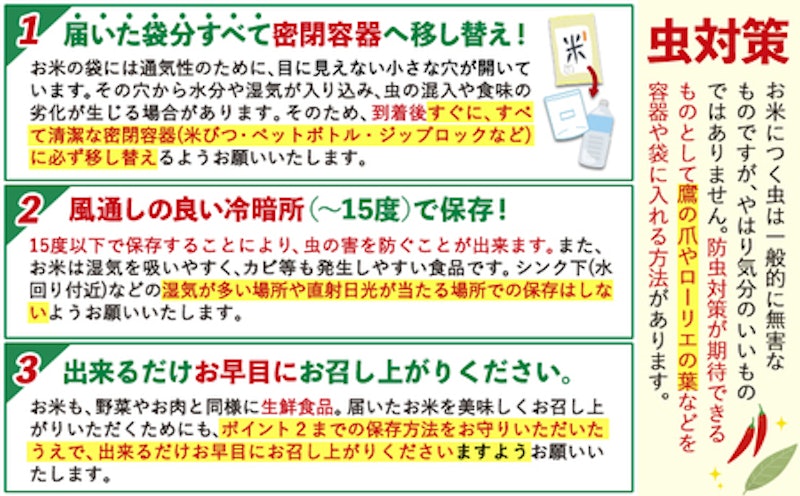 白米 ひのひかり 定期便 4