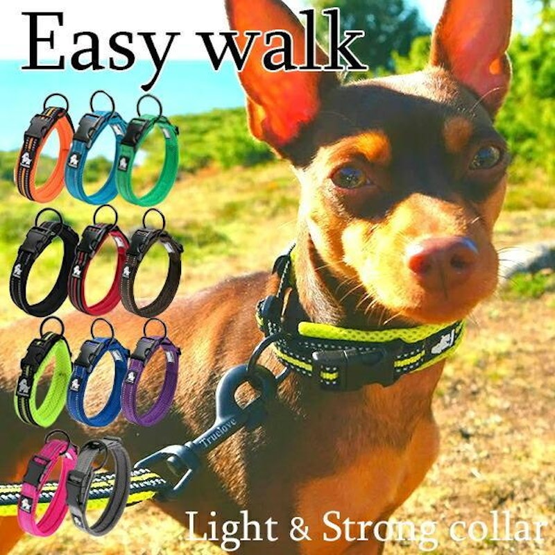 犬用首輪 1