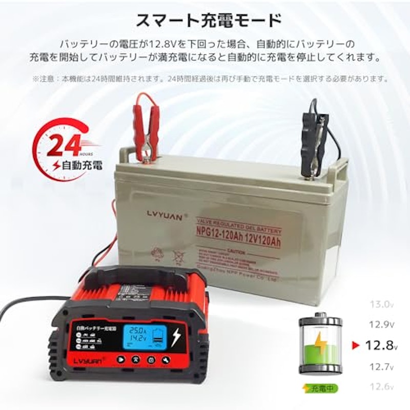 バッテリーパルス充電器 2