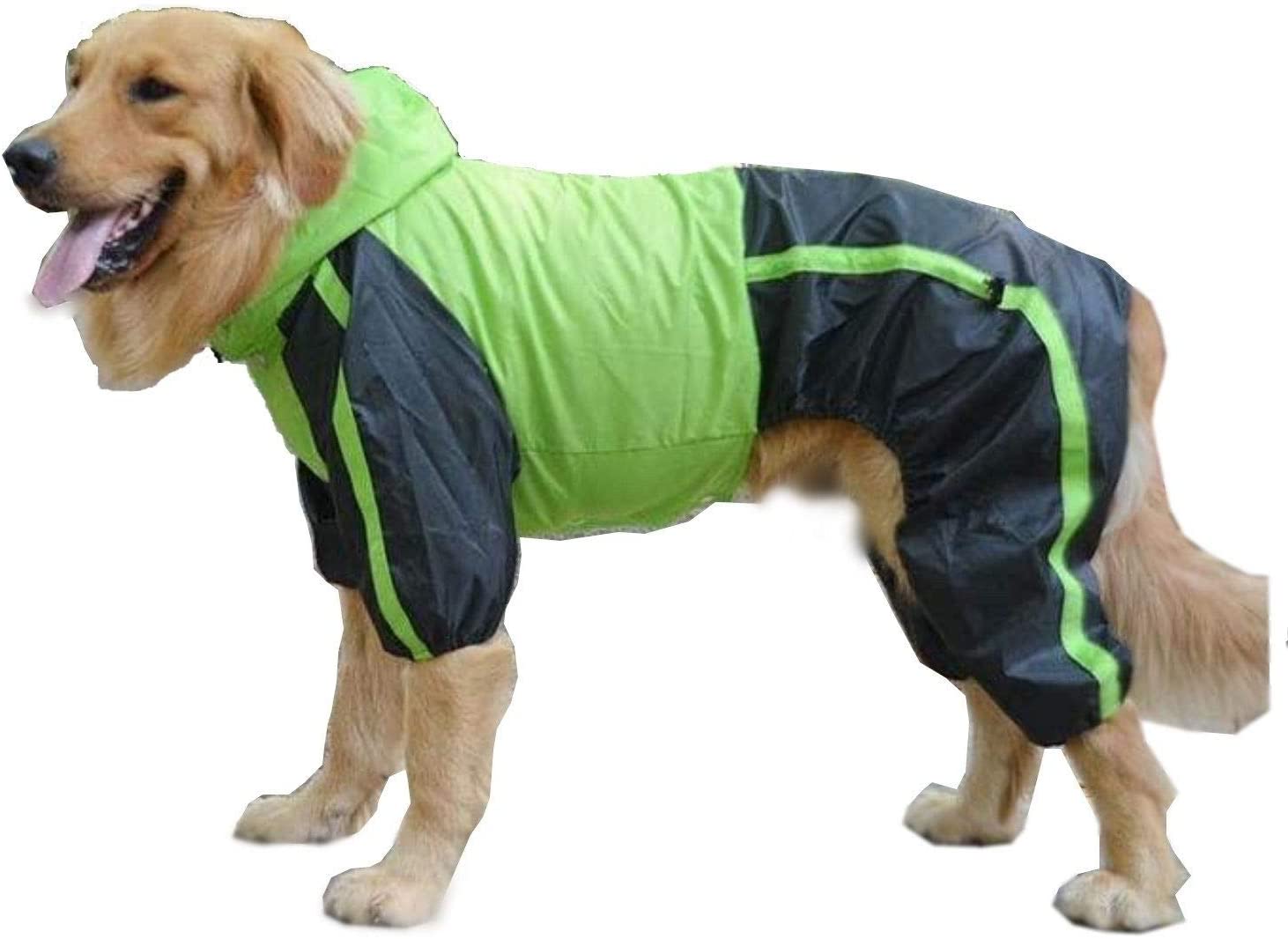 犬用レインコートのおすすめ人気ランキング18選 Mybest