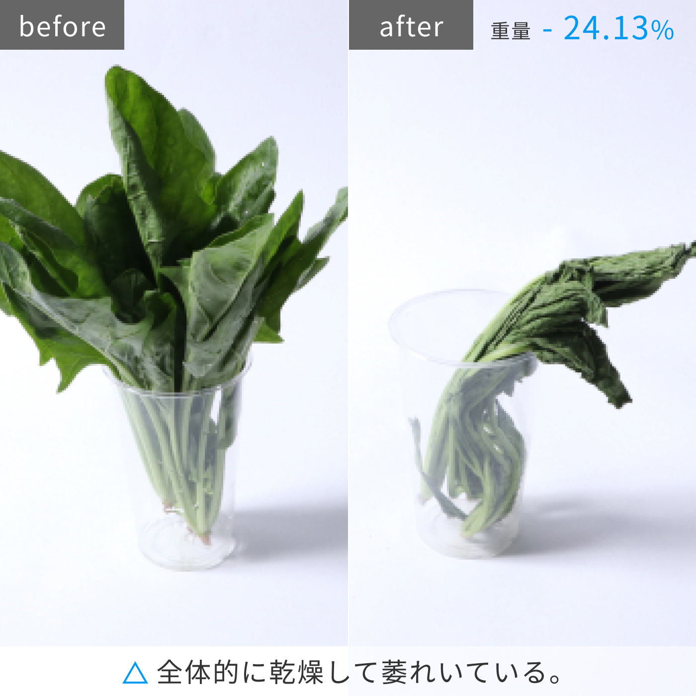冷凍冷蔵庫 231L　IRSN-23A 17