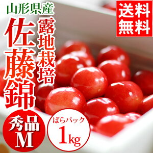 さくらんぼ 2