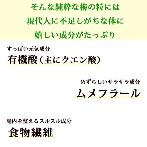 紀州の赤本 梅真珠 6