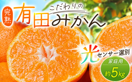 こだわりの有田みかん 1