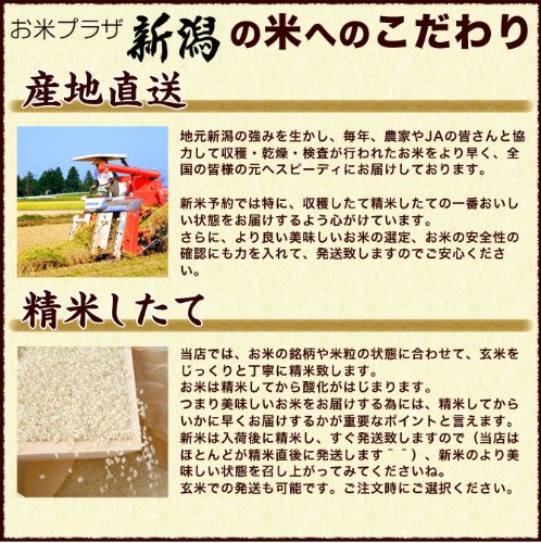 新潟県産 ミルキークイーン 7