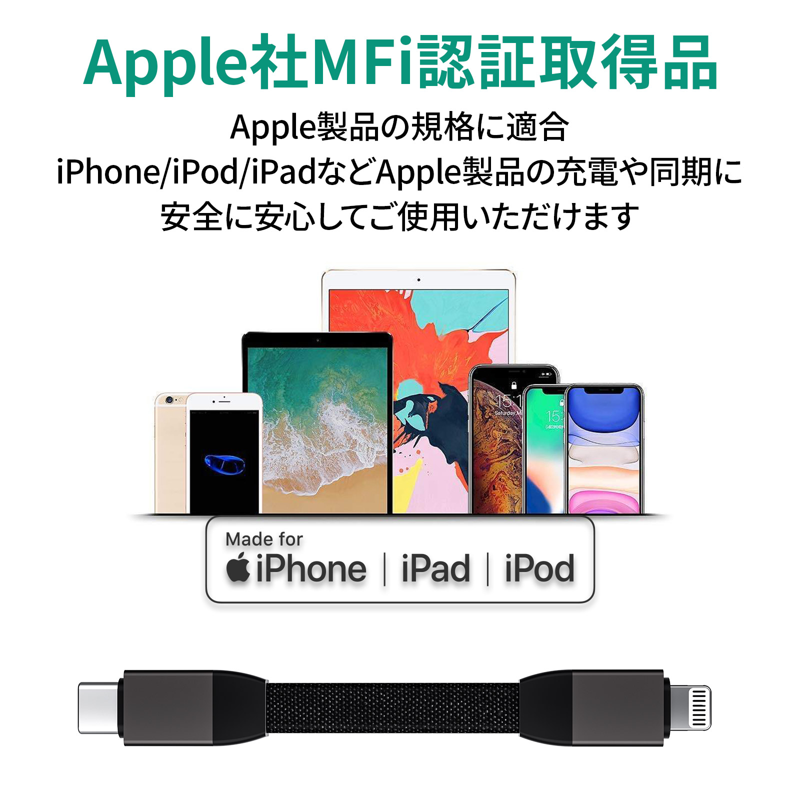 USB Type-C to Lightning ケーブル 10