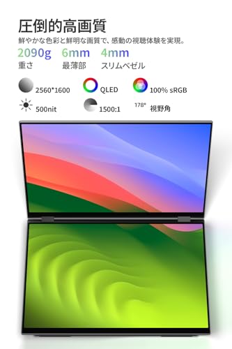デュアルモニター 3