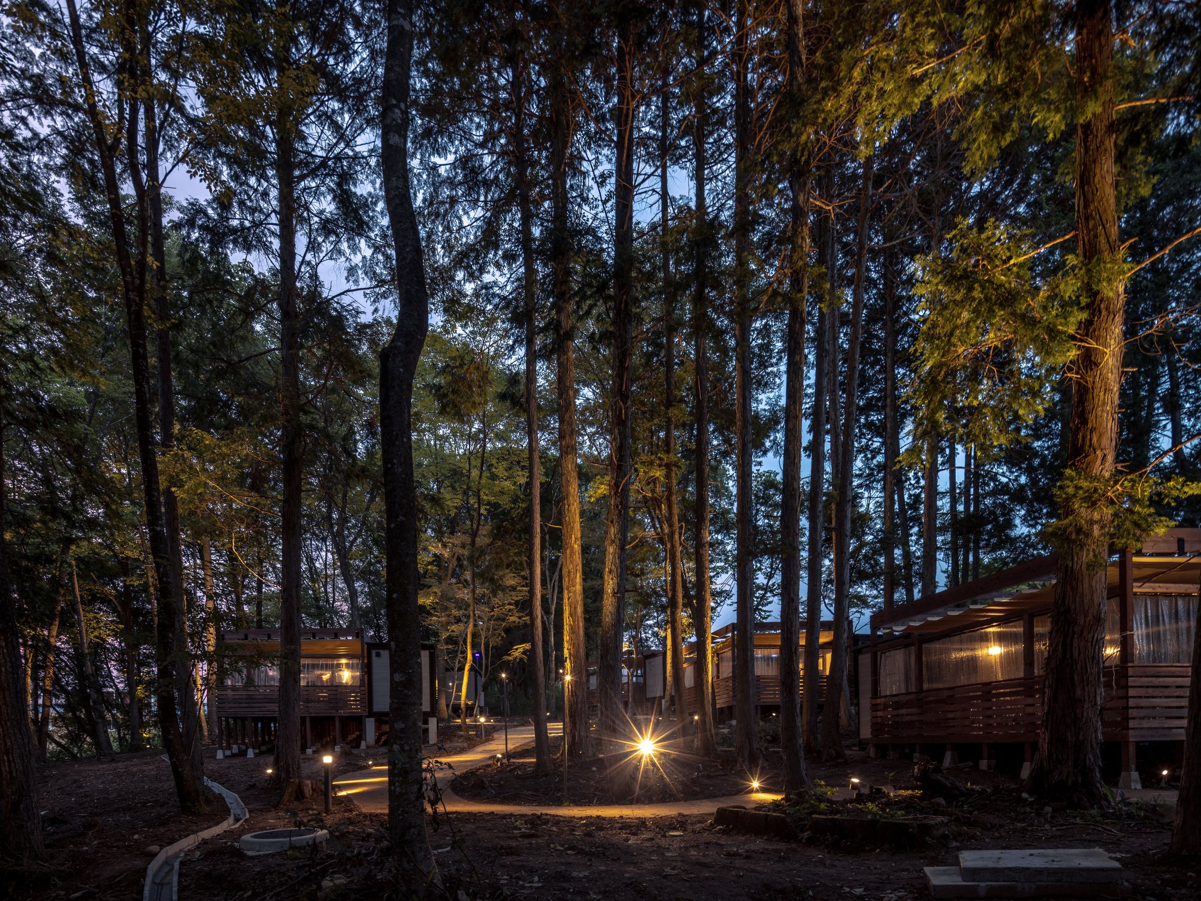 NAGI dog glamping ena 5