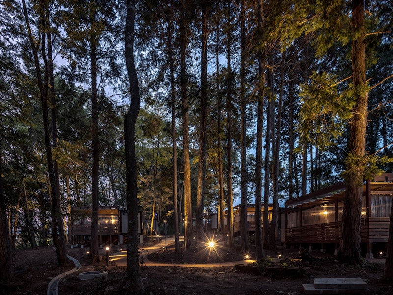 NAGI dog glamping ena 5