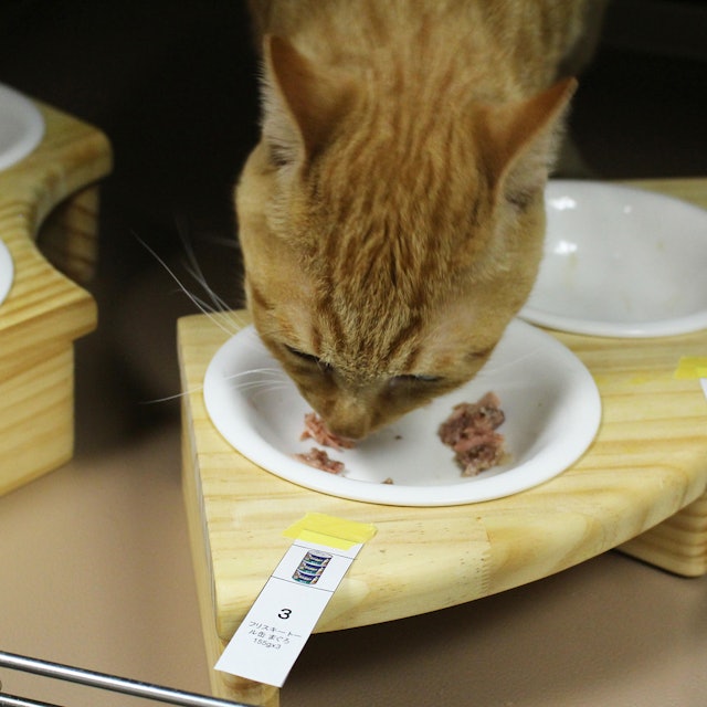 フリスキー トール缶 まぐろを全35商品と比較 口コミや評判を実際に使ってレビューしました Mybest