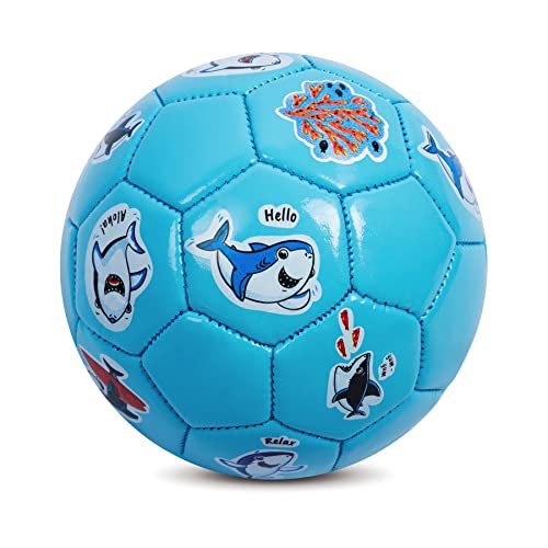 サッカーボール 1