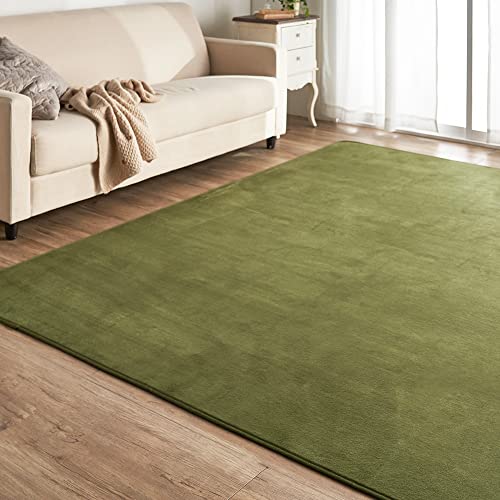 緑のラグのおすすめ人気ランキング【2026年】 | マイベスト