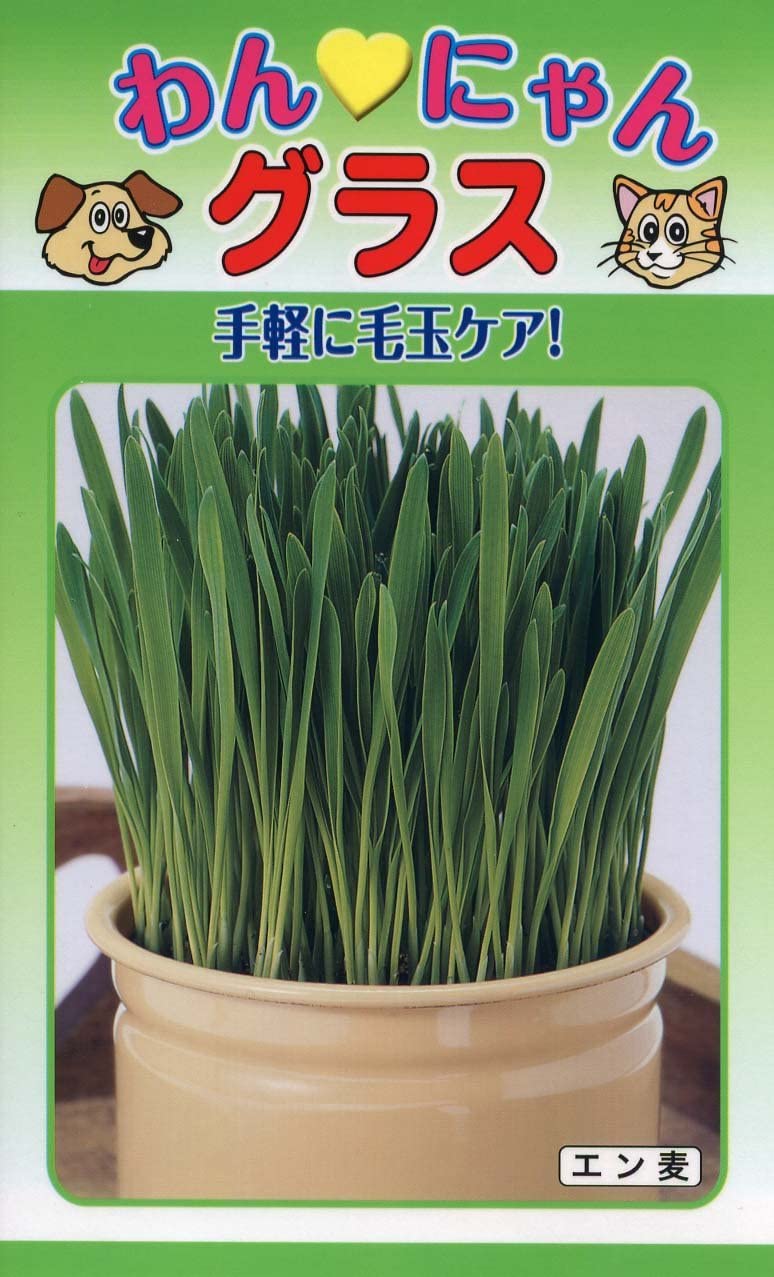 わんにゃんグラス 1