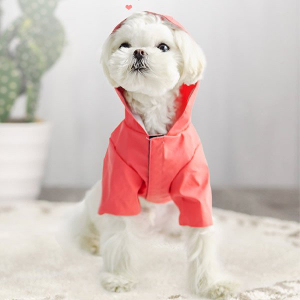 21年 犬用レインコートのおすすめ人気ランキング9選 Mybest