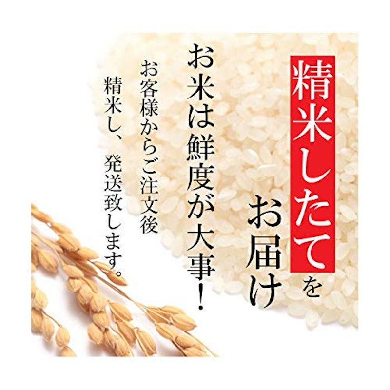 魚沼産コシヒカリ 2