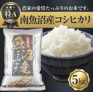 コシヒカリ 1