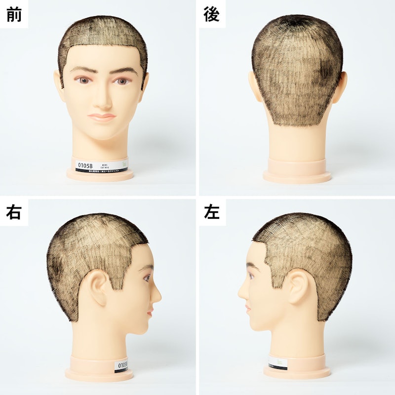 プロトリマー 7
