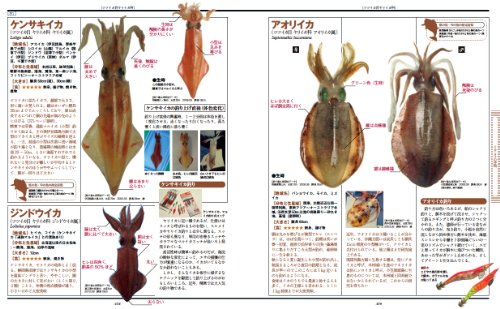 海の魚 大図鑑 6