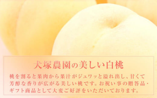 岡山市一宮産 白桃 3
