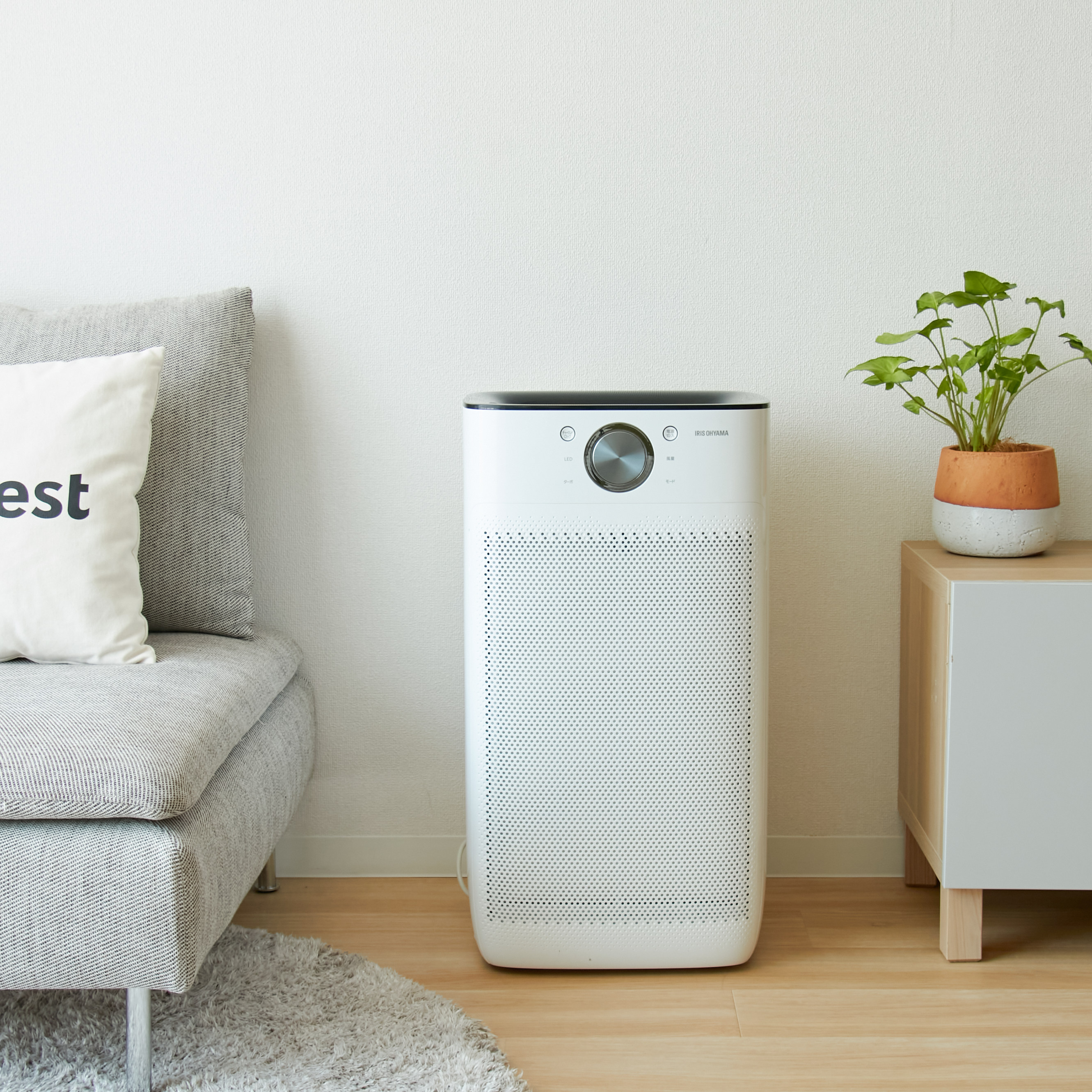 アイリスオーヤマ 単機能空気清浄機 36畳 IAP-A100-W 空気清浄機 集塵フィルター 36畳 IAP-A100FL H517575 │アイリス
