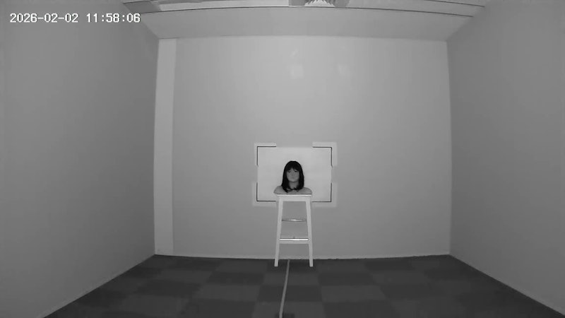 ネットワークカメラ 11