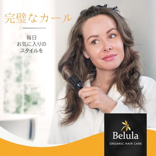 ワイエス パーク プロフェッショナル YSパーク カールシャインスタイラー ロールブラシ YS-65G0 ヘアブラシ 1本＿並行輸入品 : ワイエス パーク プロフェッショナル YSパーク カール