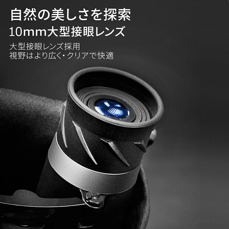 双眼鏡 6