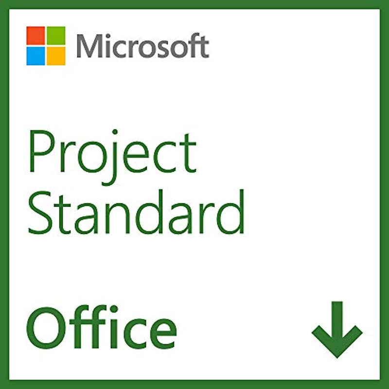 Microsoft Project Standard 2024 1