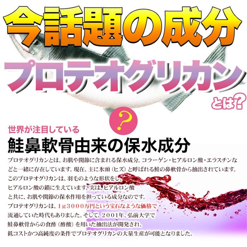 プロテオグリカン 2