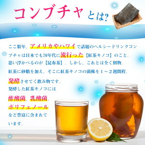 ガセリ菌＆コンブチャ 5