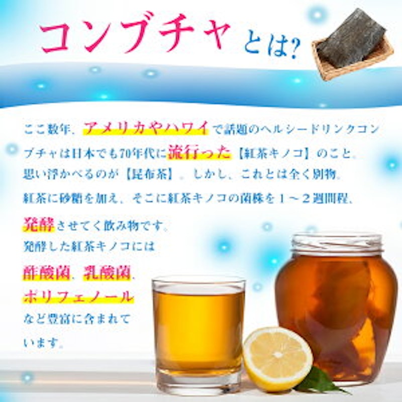 ガセリ菌&コンブチャ 5