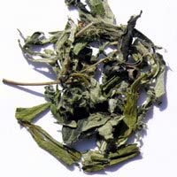 国産 ヨモギ茶 カット 2