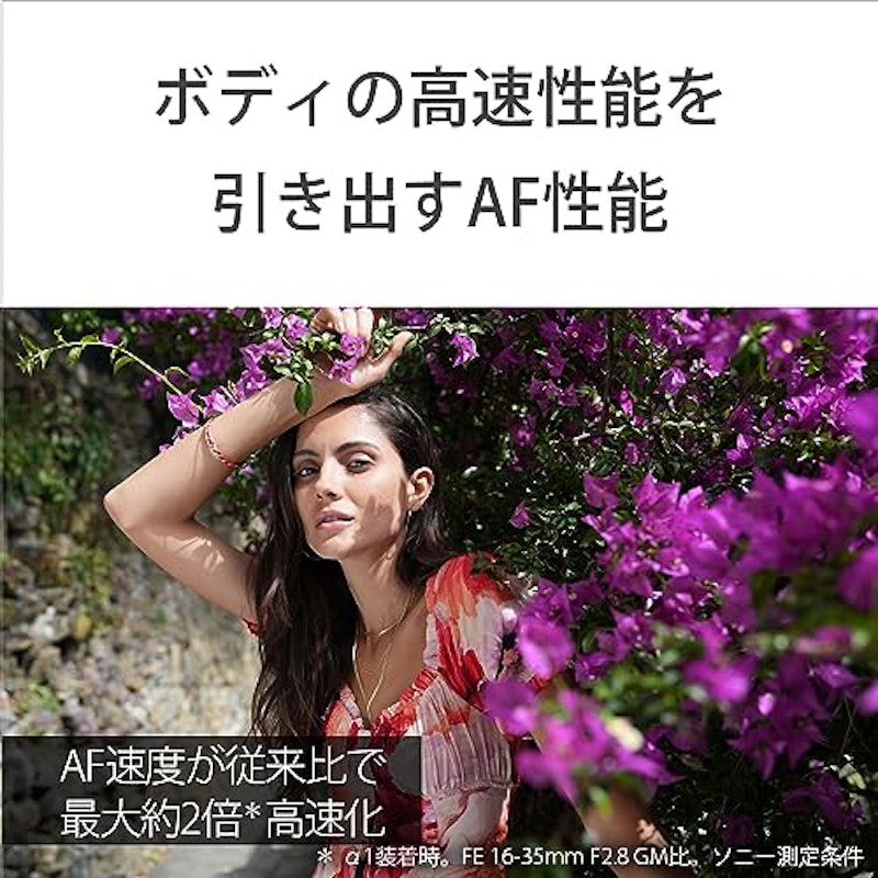 FE 16-35mm F2.8 GM II 9