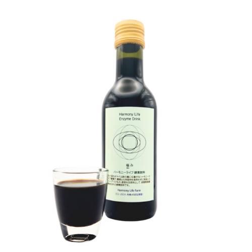 抗酸化酵素飲料 極み 1