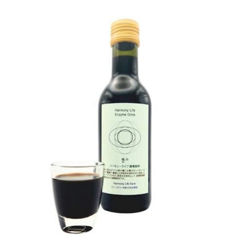 抗酸化酵素飲料 極み 1