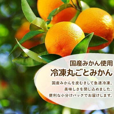 冷凍丸ごとみかん 2